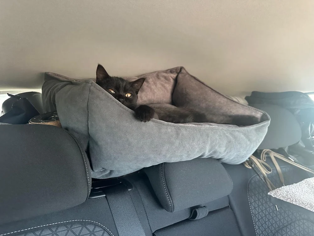 Лежанка для животных "Комфорт"