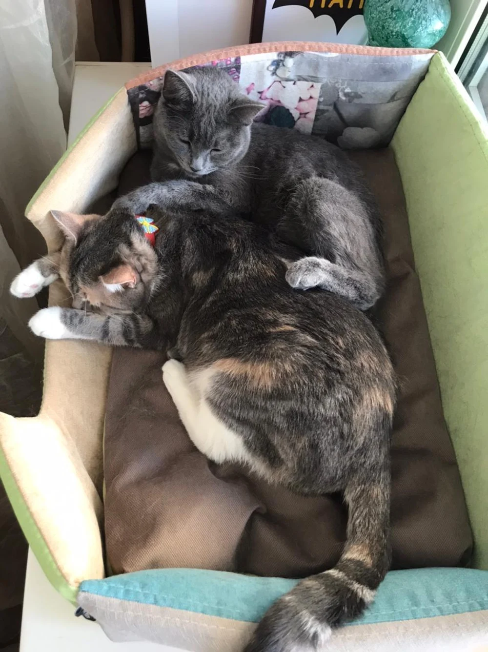 Лежанка для животных "Оптима"