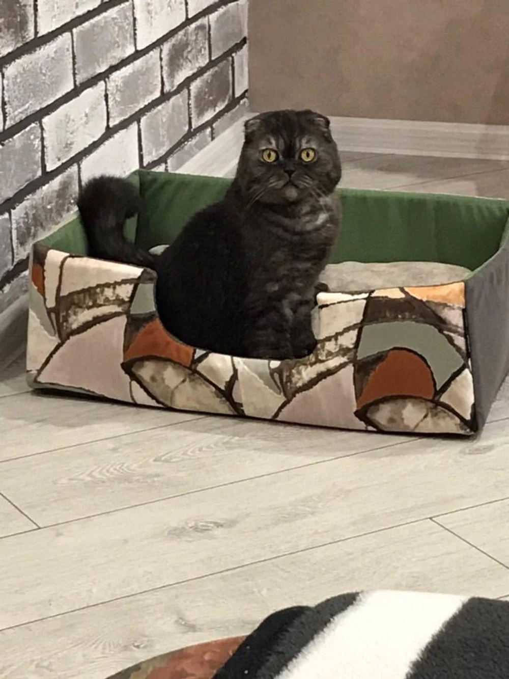 Лежанка для животных "Оптима"