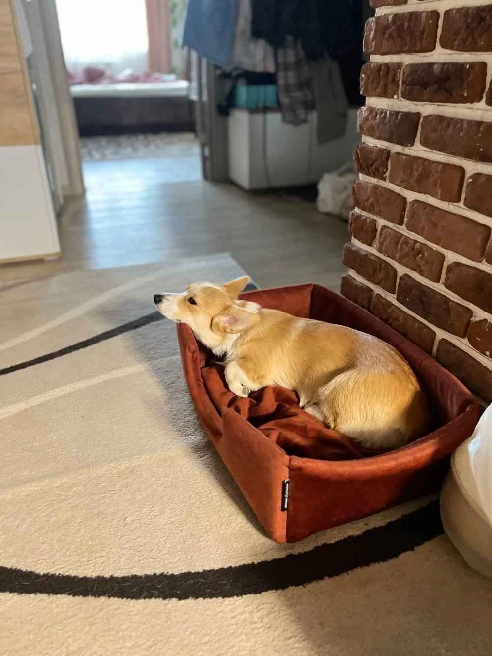 Лежанка для животных "Оптима"