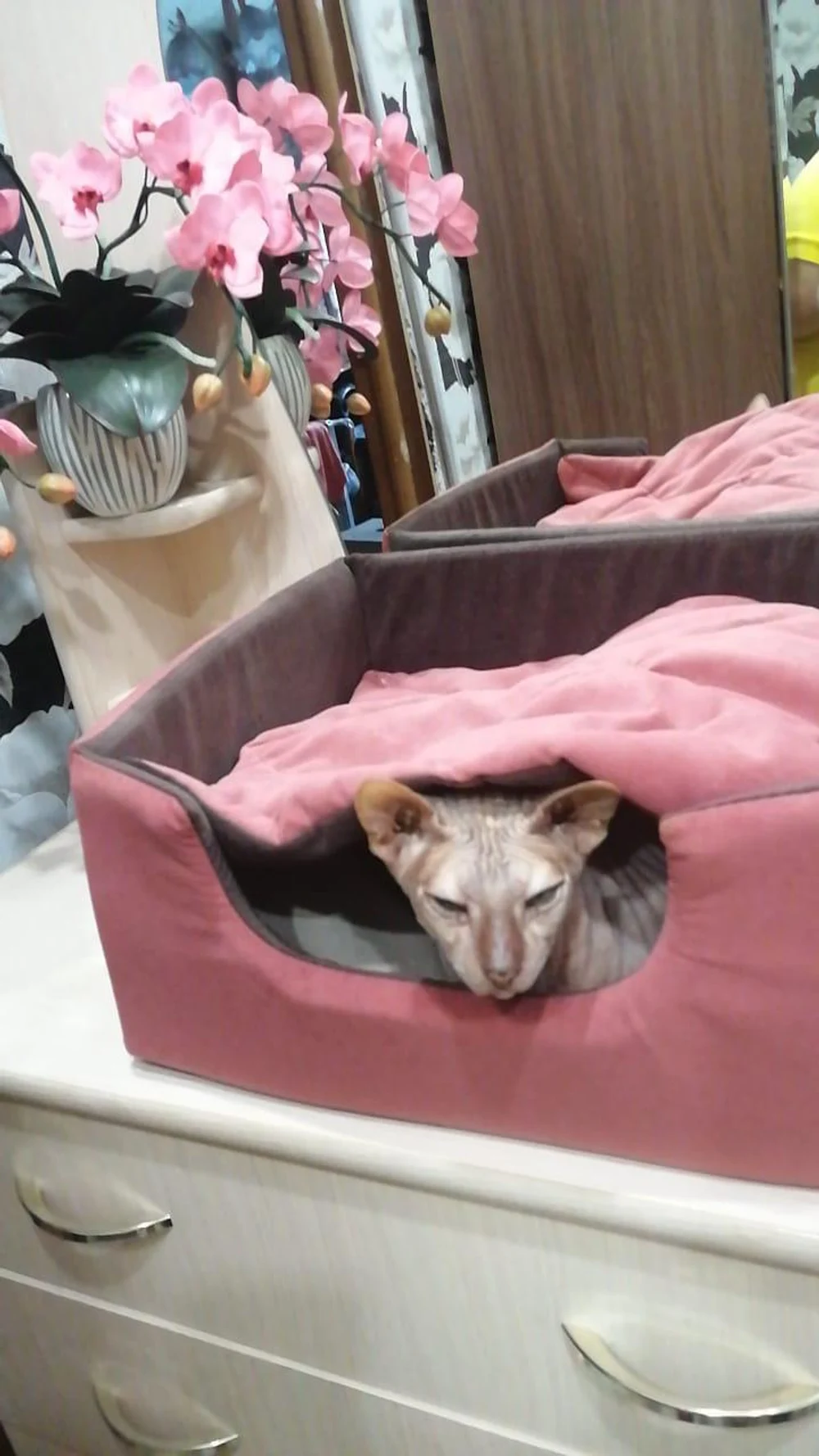 Лежанка для животных "Мини"