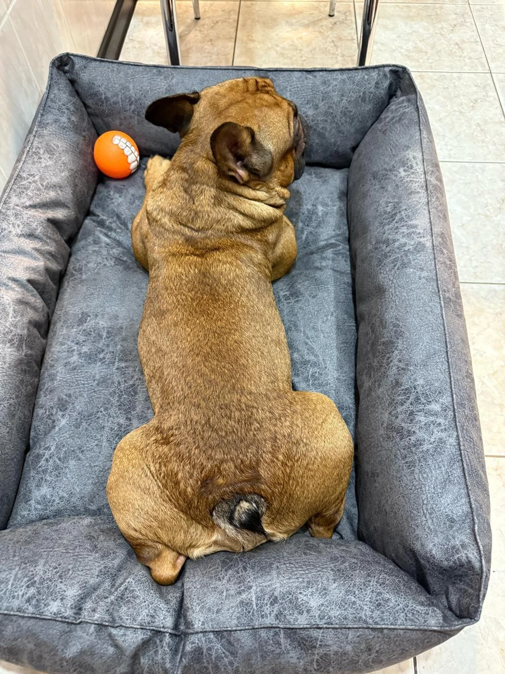 Лежанка для животных "Комфорт"